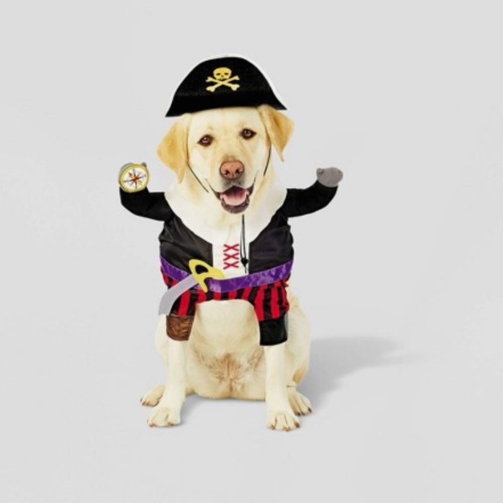 NWT Hyde and Eek Pet Pirate Set‎
